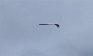 Disturbing video shows floating broom in the middle of the air and the internet is losing its collective mind